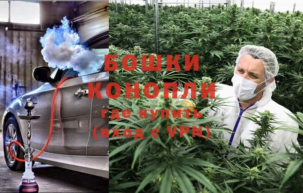 молекула духа Белоозёрский