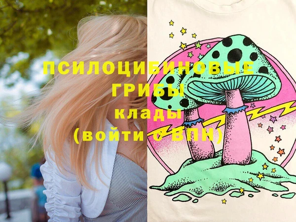 гидропоника Белокуриха