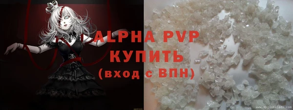 spice Богородицк