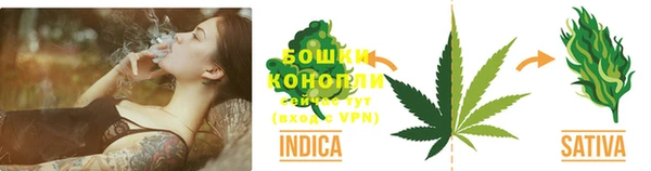 гидропоника Белокуриха