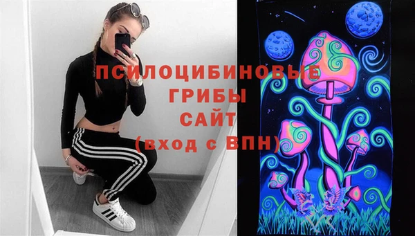 spice Богородицк