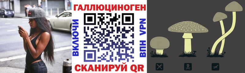 Галлюциногенные грибы мухоморы  Кувандык 